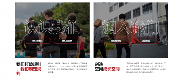 CDPR的最新项目《Project_Hadar》是一款以近战为核心的动作角色扮演游戏。 

