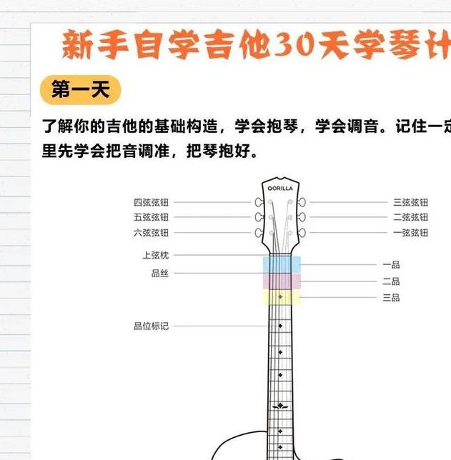 弹唱达人app vs 传统吉他教程：哪个更适合零基础用户快速上手？