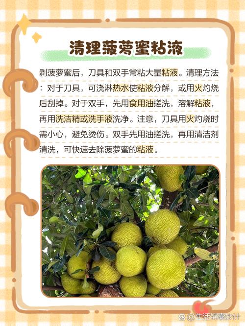 如何安全高效地获取老湿机福利ae菠萝蜜入口？