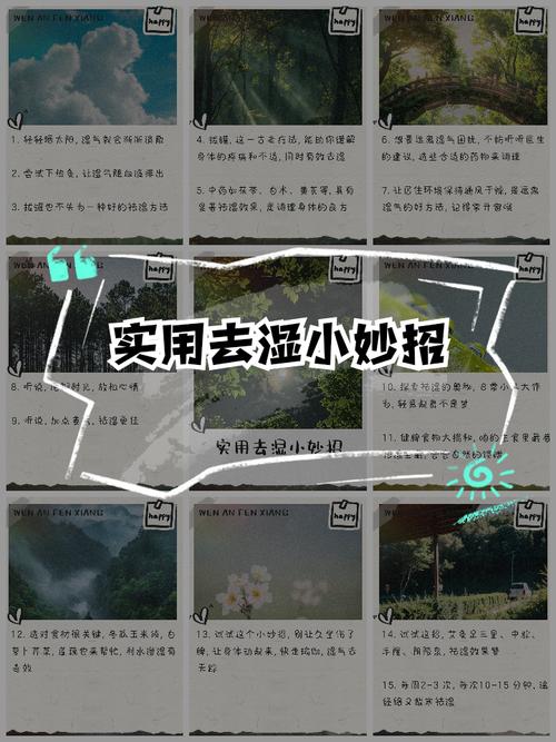 如何安全高效地获取老湿机福利ae菠萝蜜入口？