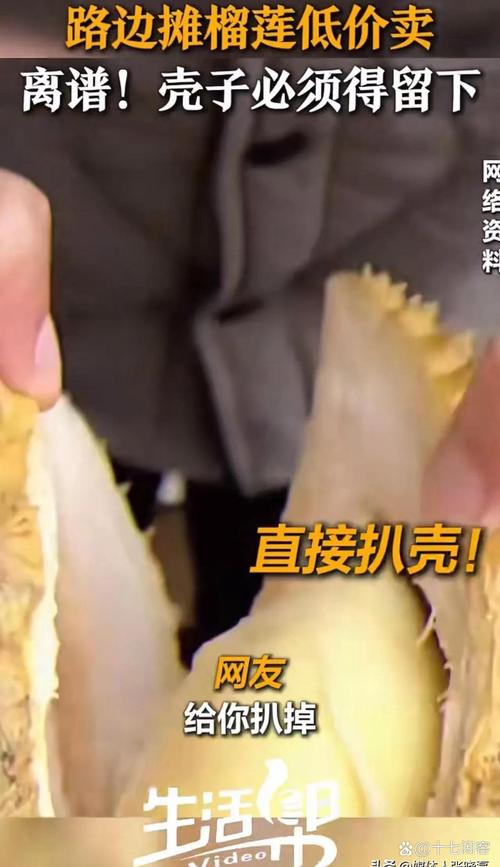 富二代为何沉迷在线榴莲视频？背后真相令人震惊！