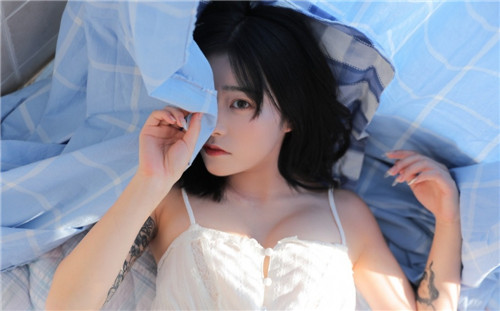 含羞草实验所3.0免费版：这个神秘工具如何免费助你突破极限？