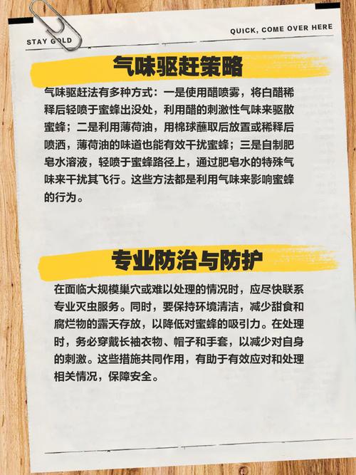 蜜蜂直播中如何避免不雅内容？安全观看指南