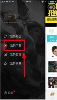 掌上英雄联盟缓存视频的查看与管理技巧详解——操作指南轻松掌握掌上英雄联盟中的缓存视频查询方法

