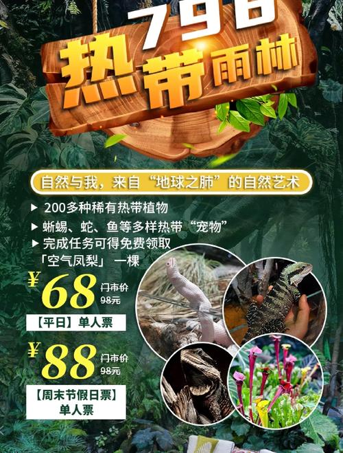 探索仙踪林：揭秘免费进入大陆的独家入口与核心优势