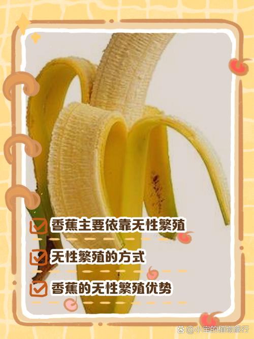 5个实用技巧：如何免费观看爬爬爬视频无遮挡大香蕉资源