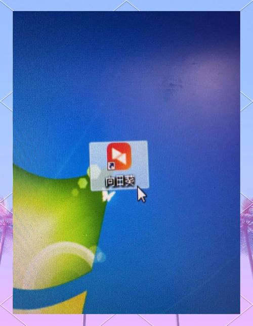 免费向日葵 vs 无限次数版：哪个更高效便捷？