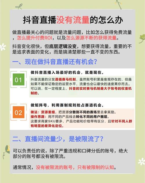 直播带货新手 vs 专业主播：如何快速起步并实现爆单？