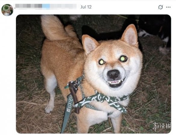 卡普空创意无限!《生化危机》鼓励粉丝展示“恐怖宠物”的照片 卡普空创意无限!《生化危机》鼓励粉丝展示“恐怖宠物”的照片