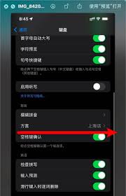 苹果14的键盘如何启用方言输入—详细操作指南