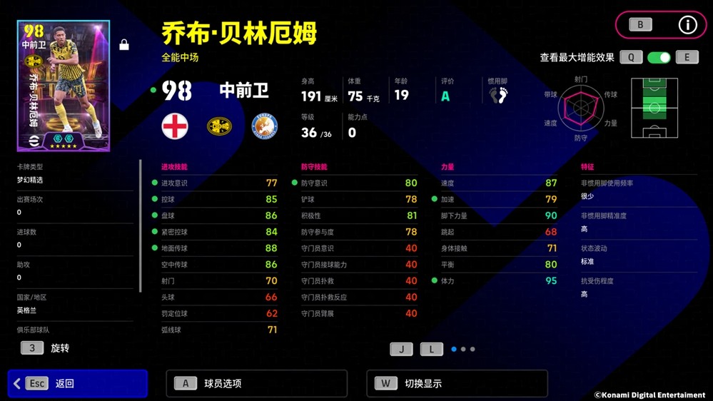 新锐之刃从黄黑军团挺身而出，“小贝林”正式亮相！