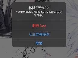 苹果预装的应用程序是否可以删除—苹果自带的应用可以被卸载吗


