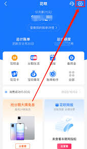 关于终止支付宝花呗的共享设置，操作流程是怎样的？