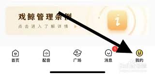 赫兹平台如何完成身份验证 - 赫兹实名认证流程详解