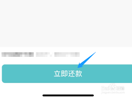 抖音月付为何缺少支付宝选项——探究背后的原因
抖音月付为何缺少支付宝选项——探究背后的原因