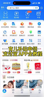 黑龙江省育儿补贴的领取方式详解——黑龙江省如何成功获得育儿补助
