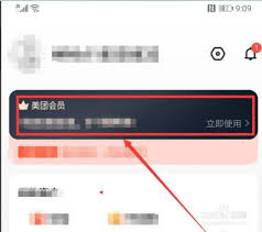 如何在美团外卖中终止会员资格——详细步骤指南