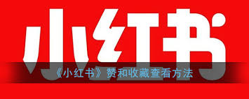 如何优化小红书笔记的标题——提升吸引力的实用技巧