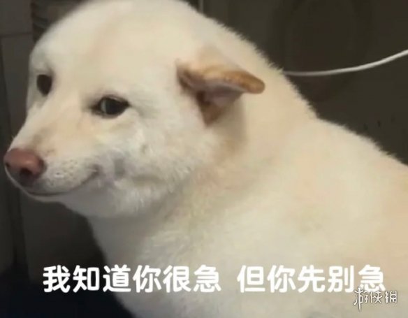 我决定穿越到网络小说的世界中,亲自去体验打游戏的乐趣 我决定穿越到网络小说的世界中,亲自去体验打游戏的乐趣