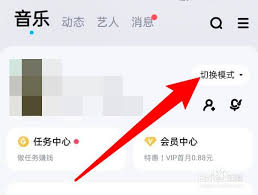 酷狗音乐的大字显示模式应如何启用——详细的设置指南