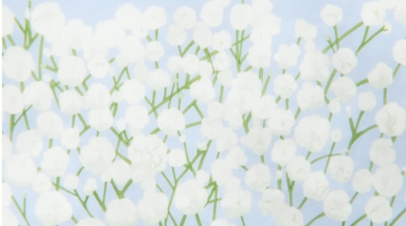 《沉默魔女的秘密》无字幕片尾亮相引发热烈讨论——新鲜情报引爆关注点
《沉默魔女的秘密》无字幕片尾亮相引发热烈讨论——新鲜情报引爆关注点