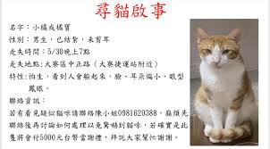 作为一只猫咪,如何前往那个繁华的街道?
作为一只猫咪,如何前往那个繁华的街道?