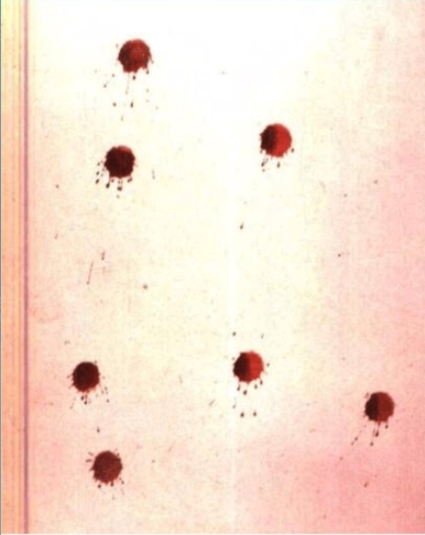 犯罪大师十字路口案件的真相揭秘：凶手究竟是谁？-详细解析

