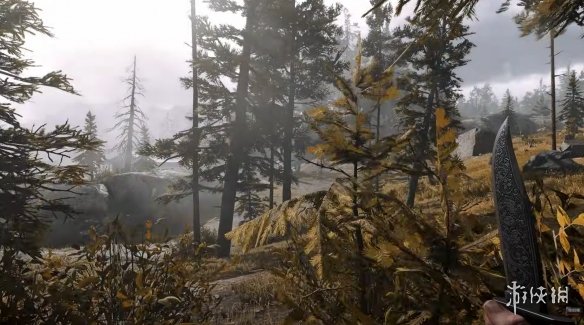 自己动手打造次世代版本!网友展示超高配《荒野大镖客2》的出色画面表现 自己动手打造次世代版本!网友展示超高配《荒野大镖客2》的出色画面表现