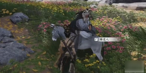 关于燕云十六声中的道人梦驴冒险任务该如何完成？-详细攻略指南