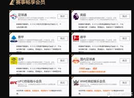 想要成为爱奇艺体育的会员,享受高清赛事直播与丰富内容,那么该如何进行购买呢?
想要成为爱奇艺体育的会员,享受高清赛事直播与丰富内容,那么该如何进行购买呢?