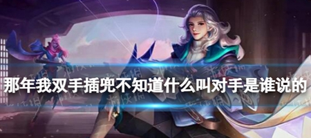 在那一年，我双手插兜，毫不知晓哪些是敌方，哪些又是梗的出处或来源。

