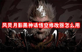 风灵月影黑神话悟空修改器的操作指南与使用技巧详解