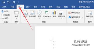 Word中如何输入分数的技巧与方法详解