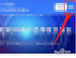 如何将addons应用程序切换为中文界面-把addons app改成中文的方法