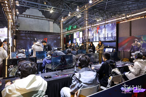 Weplay&ZFX_2025，从基础到巅峰！