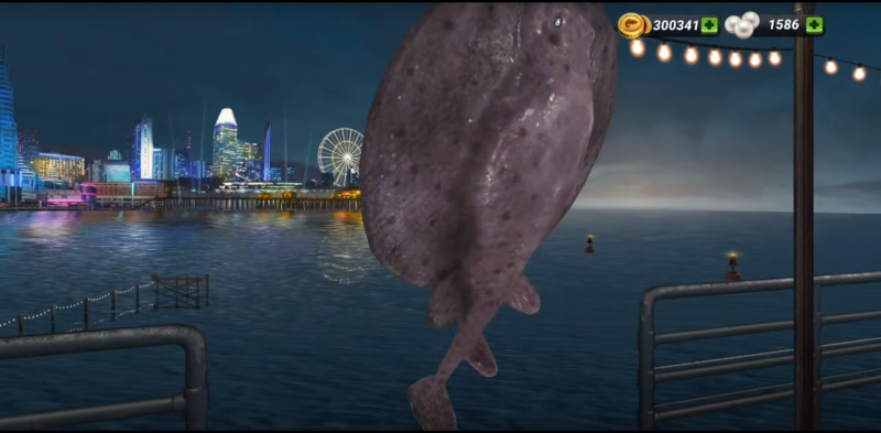 尽情享受夜晚垂钓的乐趣！立即进入《钓鱼大对决》，开启“加州”度假体验

