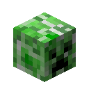 关于在《我的世界》中如何获得苦力怕头颅、其获取途径及使用价值的详细介绍  
