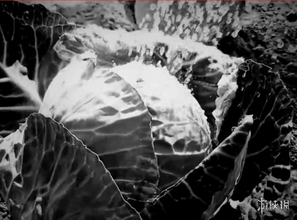 游戏刚刚上线不满一天即被下架!Steam平台再次对某款游戏实施封禁措施 游戏刚刚上线不满一天即被下架!Steam平台再次对某款游戏实施封禁措施