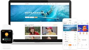随手记手机版的VIP会员可以为用户带来哪些实质性帮助？——详解随手记手机版VIP的主要作用

