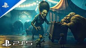 观察“熊视眈眈”完整流程的方式及实况解说视频的观看地点在哪里 观察“熊视眈眈”完整流程的方式及实况解说视频的观看地点在哪里