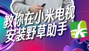 如何在电视设备上安装野草助手—详细步骤指南