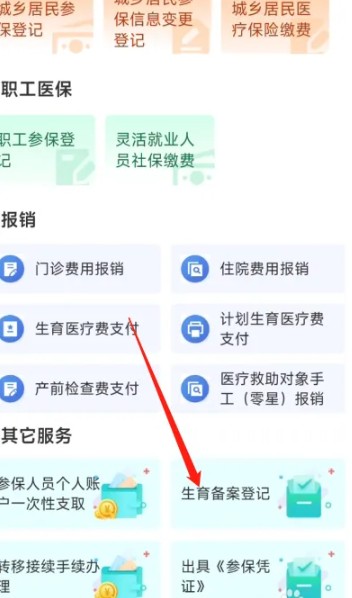 在鄂汇办App中进行生育备案登记的入口位置介绍