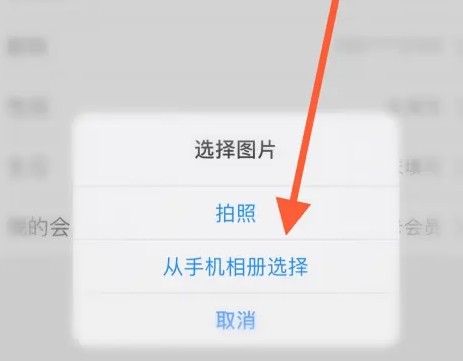 在百果园APP中变更个人头像的操作步骤详解
在百果园APP中变更个人头像的操作步骤详解