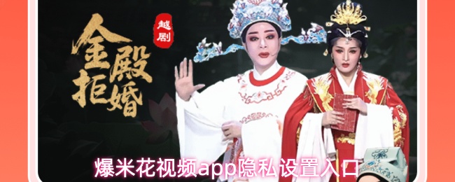 爆米花视频应用的隐私配置入口详解
爆米花视频应用的隐私配置入口详解