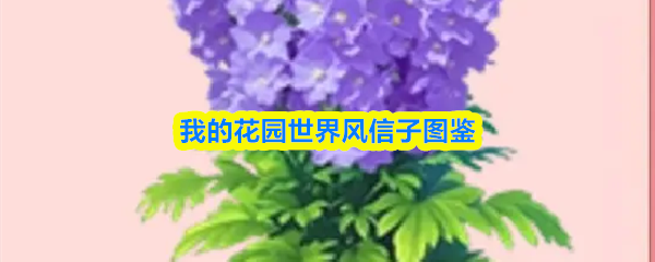 关于我花园世界中风信子植物的详细介绍