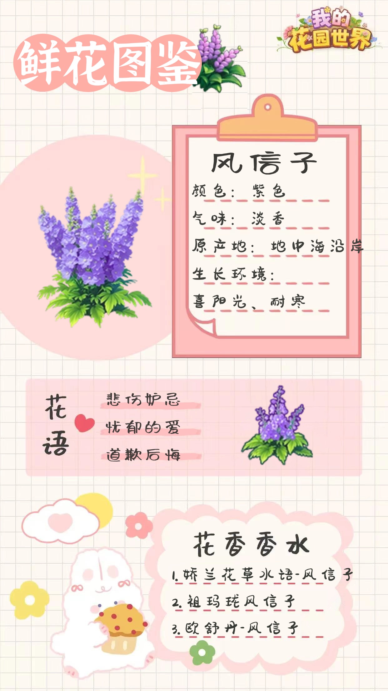关于我花园世界中风信子植物的详细介绍