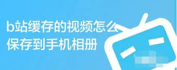 如何将腾讯视频下载至手机相册，便于随时欣赏——腾讯视频本地存储操作指南
