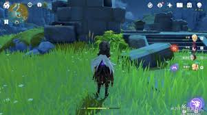 原神中怀宝应自珍藏宝地点的位置在哪里-关于原神怀宝应自珍藏宝地点的详细介绍