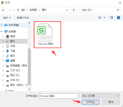 谷歌浏览器中数据的导出技巧-全面指南