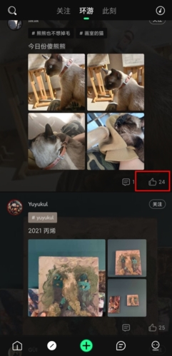 《我岛》中的表达支持方式详解